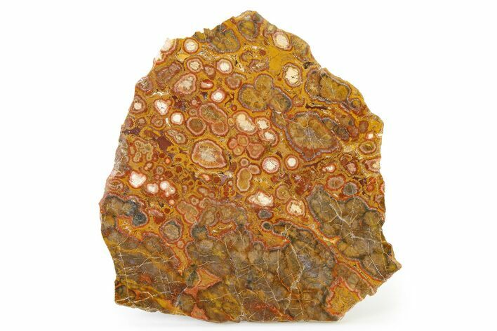 Polished Morgan Hill Poppy Jasper Slab - California #316102